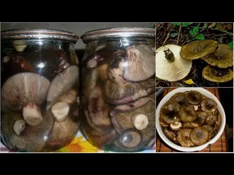 Pickled black mushrooms