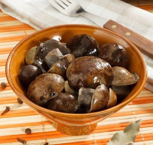 Pickled boletus: recipes for the winter