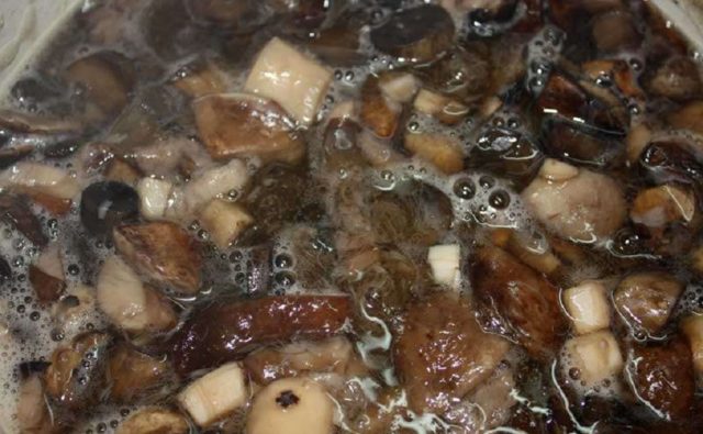 Pickled boletus: recipes for the winter