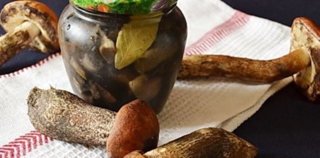 Pickled boletus: recipes for the winter