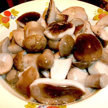 Pickled boletus: simple step by step recipes