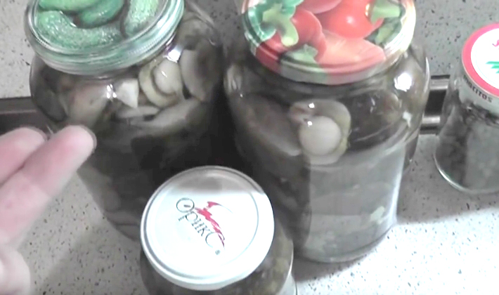 Pickled boletus: simple step by step recipes