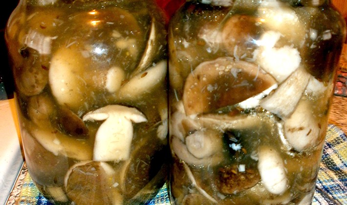 Pickled boletus: simple step by step recipes