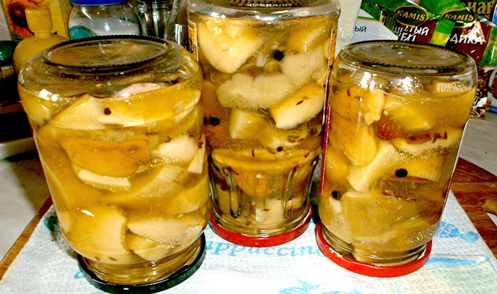 Pickled boletus: simple step by step recipes