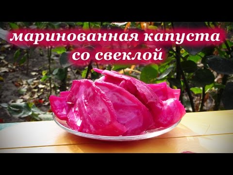 Pickled cabbage petals with beetroot