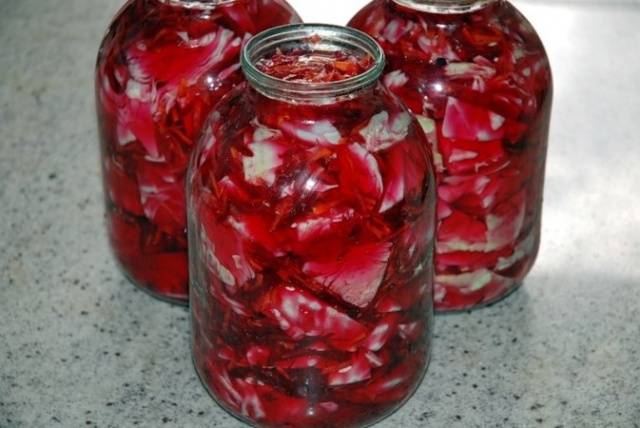 Pickled cabbage recipes for the winter in jars