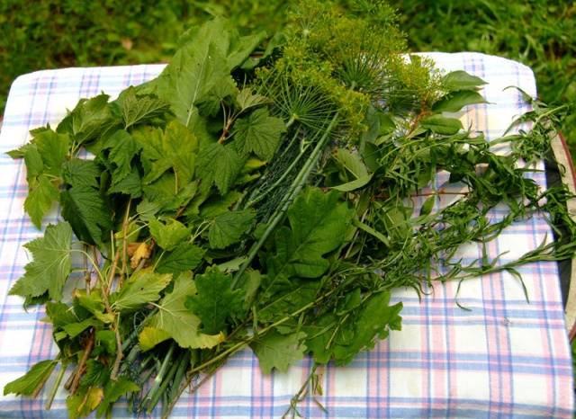 Pickled Crispy Cucumber Recipe