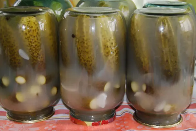 Pickled cucumbers become cloudy (fermented) in a jar: how to fix, causes of cloudiness during pickling, pickling, canning