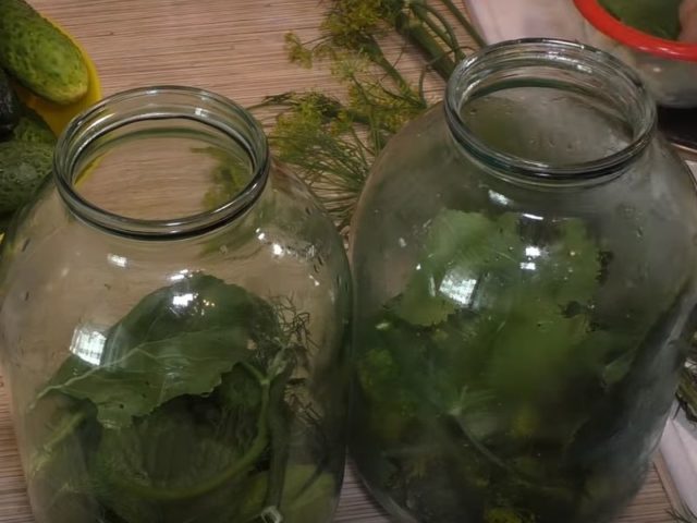 Pickled cucumbers Emerald: a recipe for the winter