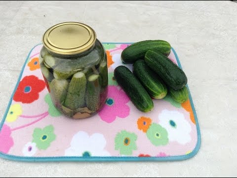 Pickled cucumbers for the winter with carrot tops: simple recipes with photos