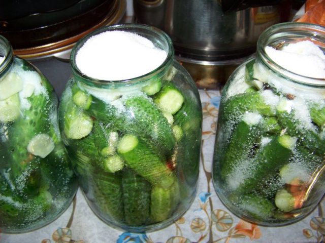 Pickled cucumbers for the winter with carrot tops: simple recipes with photos