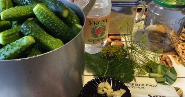 Pickled cucumbers gherkins: a recipe like in a store (store) for the winter