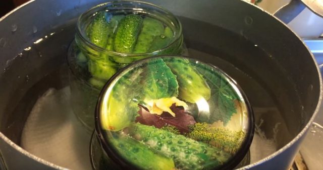 Pickled cucumbers gherkins: a recipe like in a store (store) for the winter