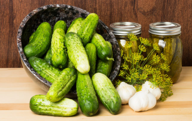 Pickled cucumbers gherkins: a recipe like in a store (store) for the winter