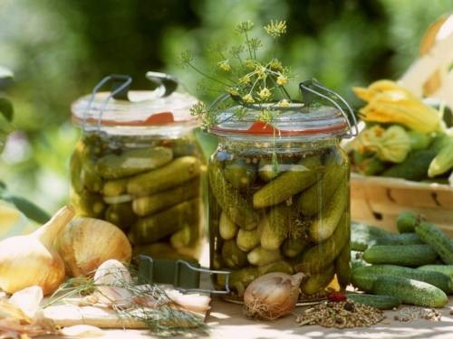 Pickled cucumbers gherkins: a recipe like in a store (store) for the winter