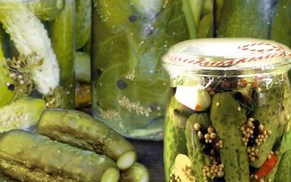 Pickled cucumbers: how to properly preserve crispy vegetables in brine without sterilization, vinegar, in Korean