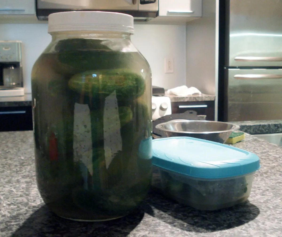 Pickled cucumbers: how to properly preserve crispy vegetables in brine without sterilization, vinegar, in Korean