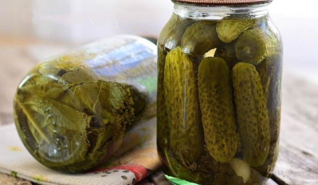 Pickled cucumbers in Polish: recipes for the winter