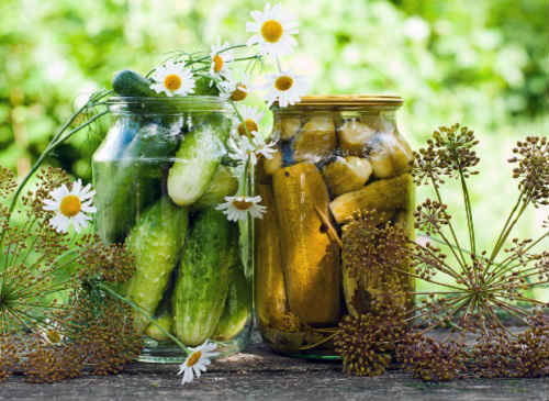 Pickled cucumbers like Bulgarian (in Bulgarian): the most delicious recipes for the winter with onions, carrots