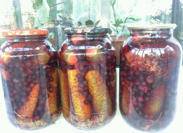 Pickled cucumbers with blackcurrant