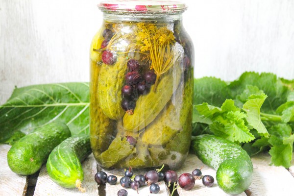 Pickled cucumbers with blackcurrant