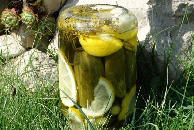 Pickled cucumbers with lemon for the winter: recipes, reviews