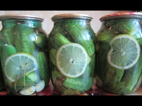 Pickled cucumbers with lemon for the winter: recipes, reviews