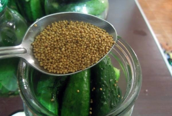 Pickled cucumbers with mustard seeds: recipes for the winter