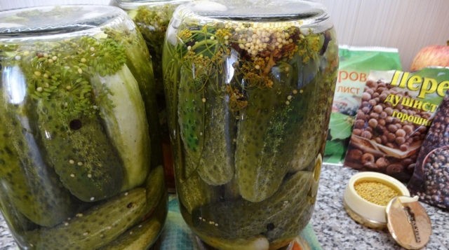 Pickled cucumbers with mustard seeds: recipes for the winter