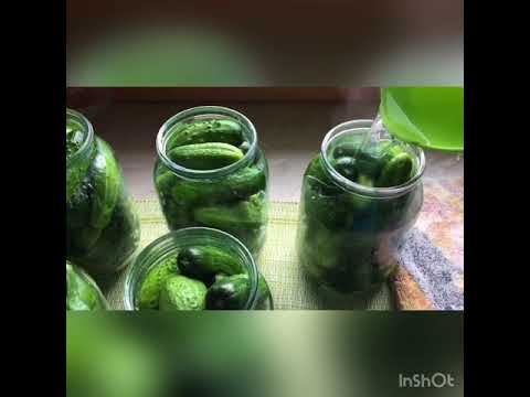 Pickled cucumbers with mustard seeds: recipes for the winter