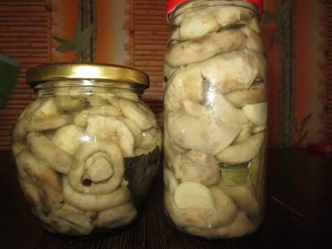 Pickled dry milk mushrooms (white pickles) for the winter: cold, hot pickling recipes