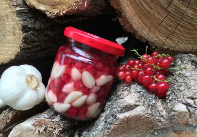 Pickled garlic with red currant for the winter