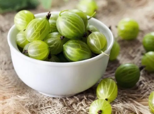 Pickled gooseberries with and without garlic: recipes for winter preparations