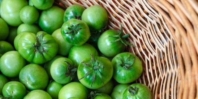 Pickled Green Tomatoes with Garlic Recipe