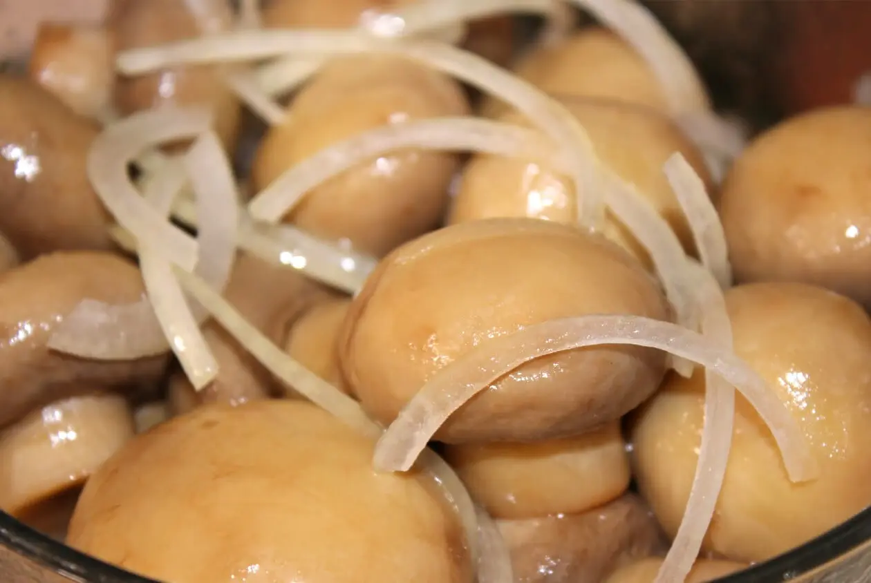 Pickled instant champignons at home: 12 step-by-step recipes + ways to store blanks