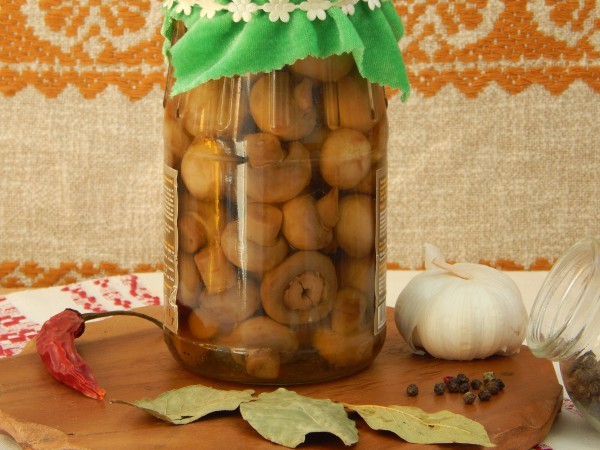 Pickled instant champignons at home: 12 step-by-step recipes + ways to store blanks