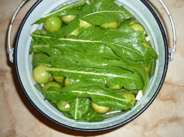 Pickled instant green tomatoes in a pot