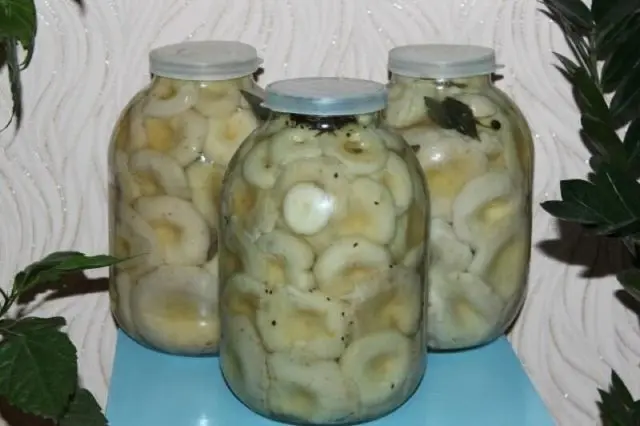 Pickled milk mushrooms: recipes for the winter, cold and hot cooking methods