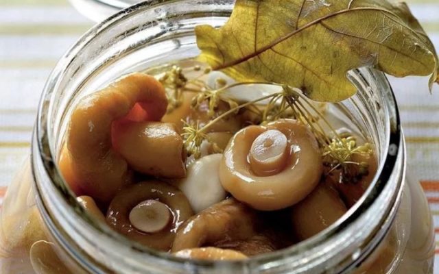 Pickled milk mushrooms: recipes for the winter, cold and hot cooking methods