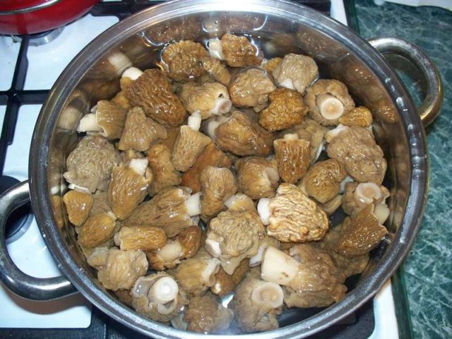 Pickled morels: cooking recipes