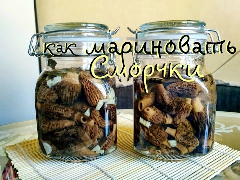 Pickled morels: cooking recipes