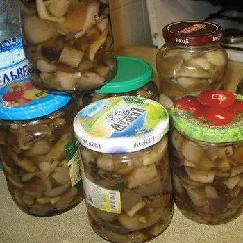 Pickled mushroom legs: recipes