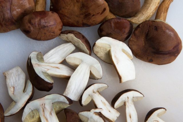 Pickled mushrooms: recipes for the winter