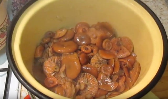 Pickled mushrooms without sterilization for the winter