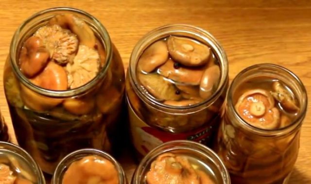 Pickled mushrooms without sterilization for the winter