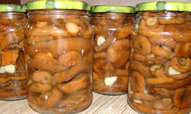 Pickled mushrooms without sterilization for the winter