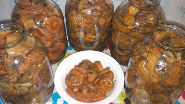 Pickled mushrooms without sterilization for the winter