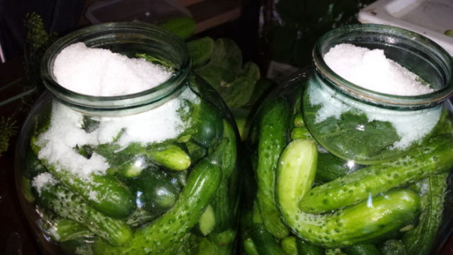 Pickled pickled cucumbers in jars as barrel: 14 recipes for the winter