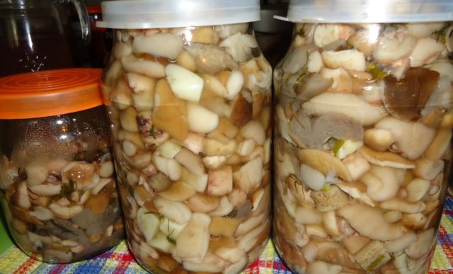 Pickled porcini mushrooms: recipes without sterilization