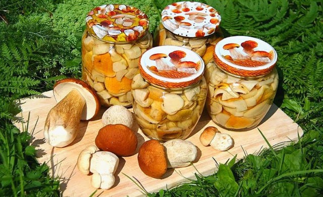 Pickled porcini mushrooms: recipes without sterilization